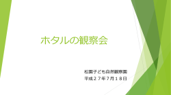 松園子ども自然観察園 サクラソウ観察会