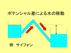 ポテンシャル差による水の移動