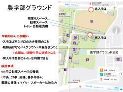 南入り口前へ通じる東西の道路