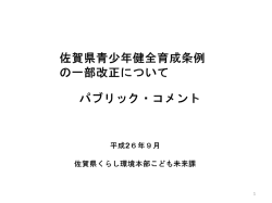 佐賀 県青少年健全育成条例改正スケジュール(案)