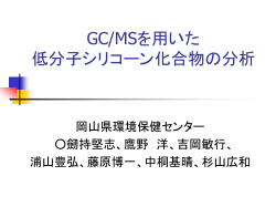 GC/MSを用いた低分子シリコーン化合物の分析