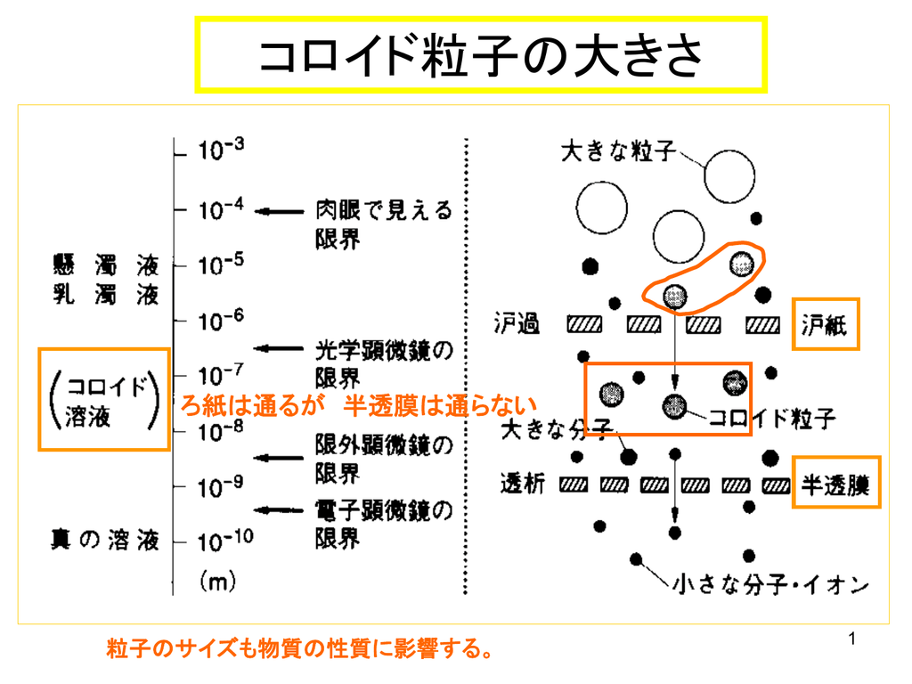 コロイド粒子の大きさ