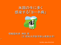 ｽﾗｲﾄﾞ ﾀｲﾄﾙなし