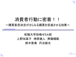 計画購買の意思決定が次の購買意思決定に 与える影響