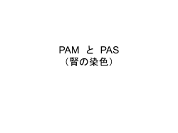 PAM - 札幌医科大学