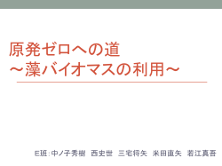 E班発表 - ISFJ日本政策学生会議