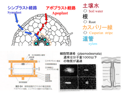 植物分子生理学 - 岡山大学 資源植物科学研究所
