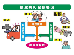 食事の五箇条