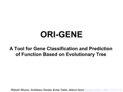 ORI-GENE slides