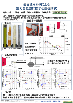 表面性状による 空力音低減に関する基礎研究