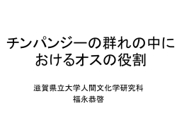 チンパンジーの群れの中におけるオスの役割