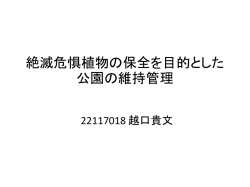 絶滅危惧植物の保全を目的とした公園の維持 管理