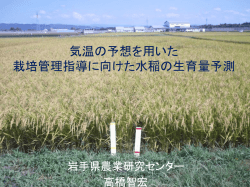気温予想を用いた 水稲の生育量予測と栽培 管理指導