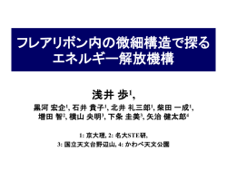 フレアリボン内の微細 構造で探るエネルギー解放機構