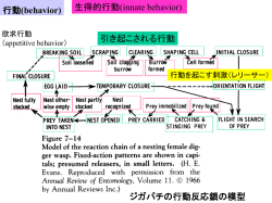 PowerPoint プレゼンテーション