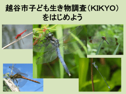 子ども生き物調査 KIKYO