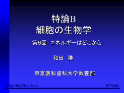 ｽﾗｲﾄﾞ ﾀｲﾄﾙなし