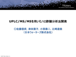 タイトルの入力（24pt） 日本語フォント MS UI Gothic