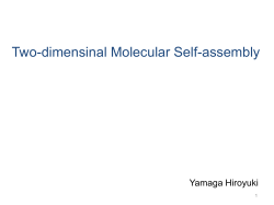 Two-dimensinal (2D) Self