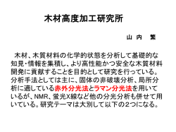 PowerPoint プレゼンテーション