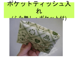 ポケットティッシュ入れ (ふた無し・ポケット付)