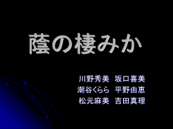 蔭の棲みか