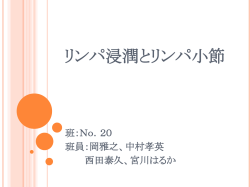 リンパ浸潤とリンパ小節 - SEM連続断面観察