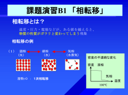課題演習B1 「相転移」