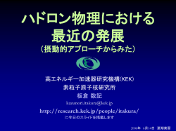 極限状態におけるハドロン物理
