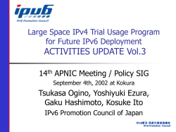 Large Space IPv4 Trial Usage Program for Future