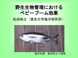 ｽﾗｲﾄﾞ ﾀｲﾄﾙなし