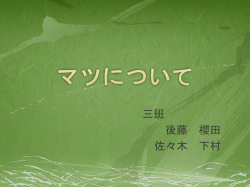 マツについて
