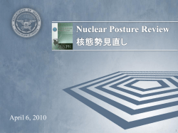 An Update on the 2010 U.S. Nuclear Posture Review