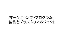 マーケティング・プログラム：