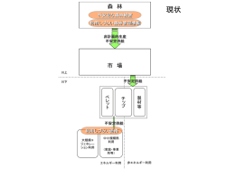 森林バイオマス利用の新戦略