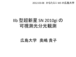 IIb 型超新星 SN 2010gi の 可視 光