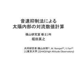 音速抑制法による 対流数値計算
