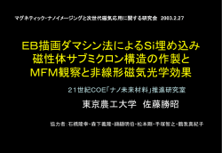 EB描画ダマシン法に よるSi埋め込み磁性体サブミクロ