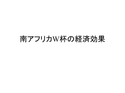 南アフリカW杯の経済効果