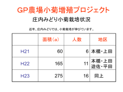 GP農場小菊増殖プロジェクト