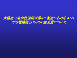 ｽﾗｲﾄﾞ ﾀｲﾄﾙなし