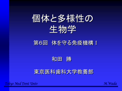 ｽﾗｲﾄﾞ ﾀｲﾄﾙなし