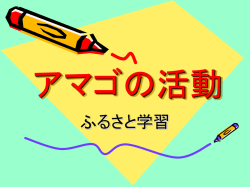 アマゴの活動