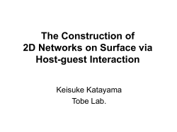 The Construction of 2D Networks on Surface via
