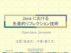 Java における 先進的リフレクション技術