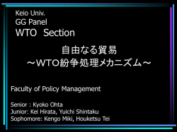 GG Panel WTO Section