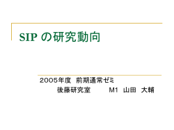 SIP 研究グループ