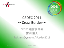 CEDEC 2011-PPT