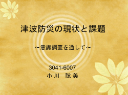 ミニ卒論中間発表