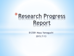 Research Progress Report